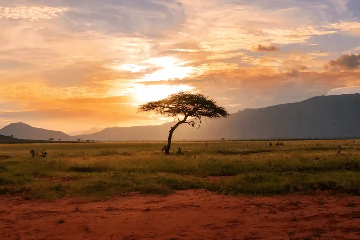 Serengeti National Park — Kimgoni Tanzania Safaris