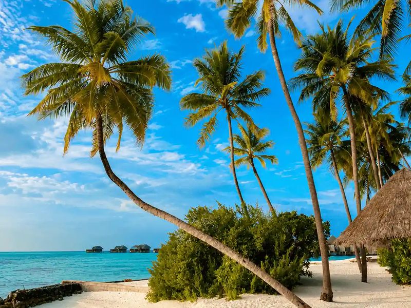 Zanzibar beach