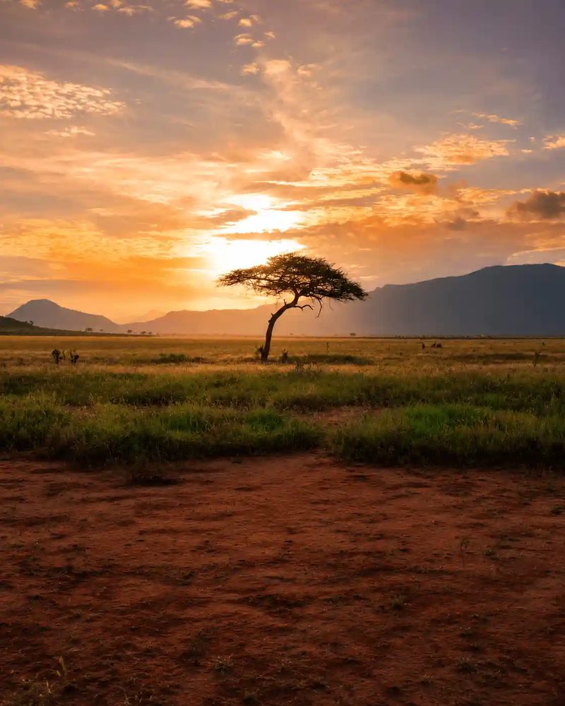 Private Land Cruiser — Kimgoni Tanzania Safaris