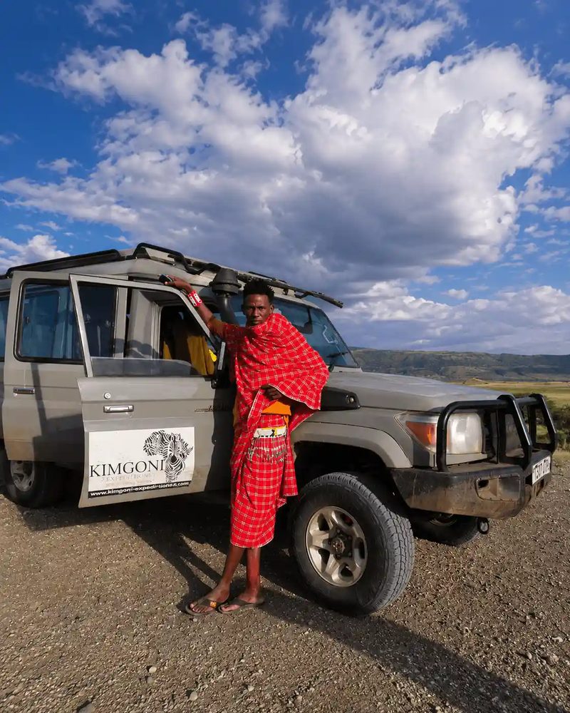 Golden hour game drive
