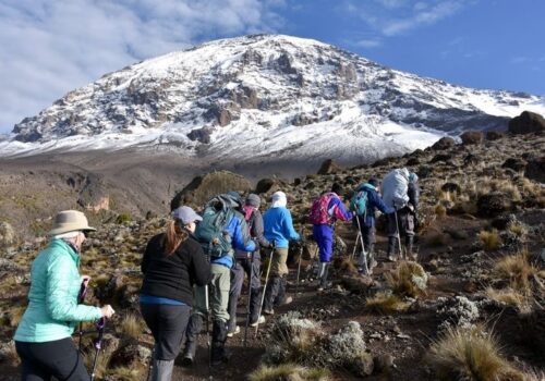 4 Days Kilimanjaro Trekking