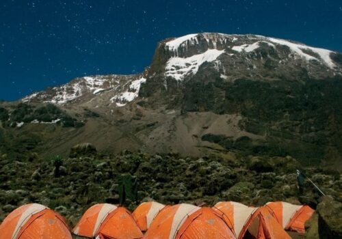 7 Days Kilimanjaro Trekking Rongai Route