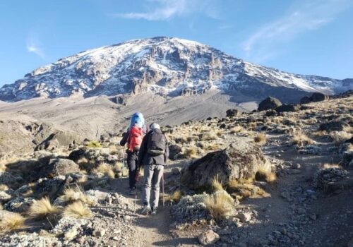 7 Days Kilimanjaro Trekking Machame Route