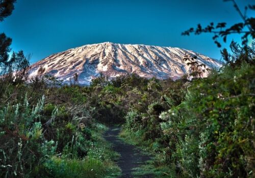9 Days Kilimanjaro Trekking Lemosho Route