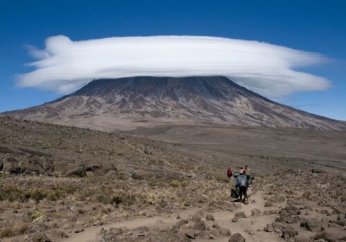 6 Days Kilimanjaro Trekking Rongai Route