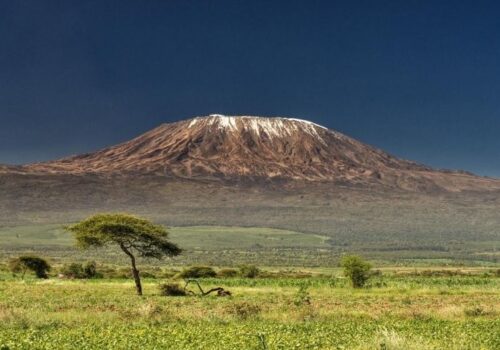 8 Days Kilimanjaro Trekking Lemosho Route