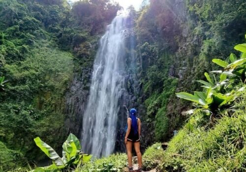 Day Trip Materuni Waterfall Tour