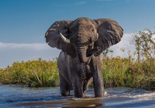 10 Days Luxury Accomodation Safari